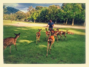 Dan feeding the deer.